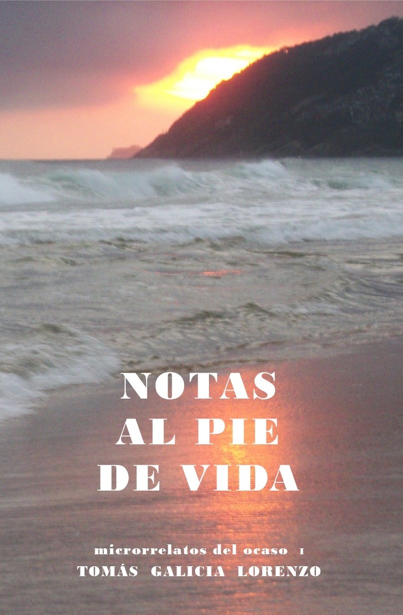 Notas al pie de vida
